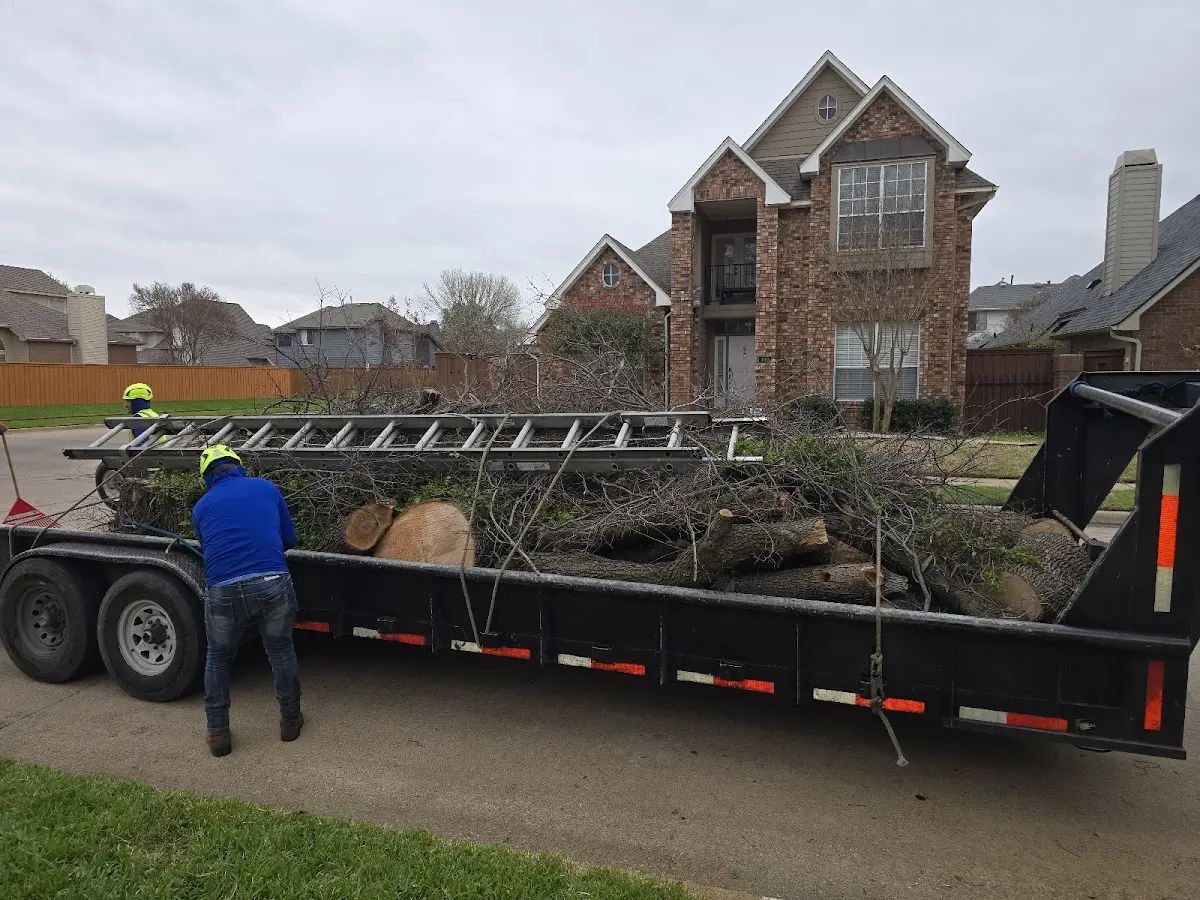 Expert Tree Pest Control with proper safety equipment in Massapequa Park